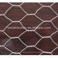 Forme hexagonale Gal Wire Mesh